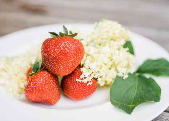 Erdbeer Rabarber Marmelade